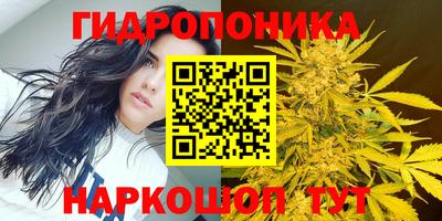 мдма Ливны