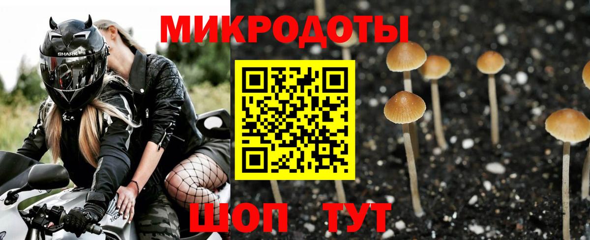 Псилоцибиновые грибы Psilocybe Верхняя Салда