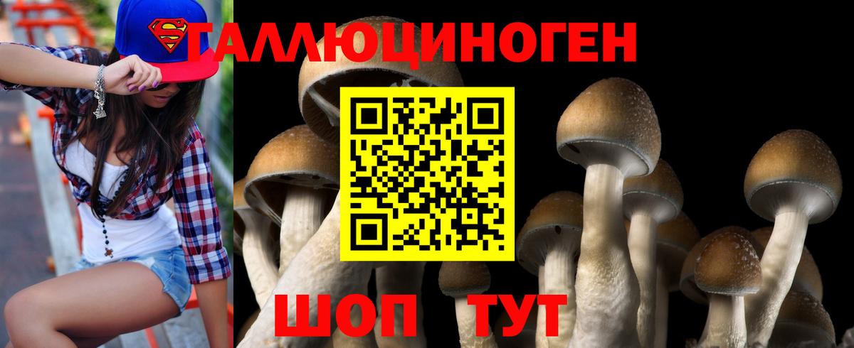 Верхняя Салда  Псилоцибиновые грибы Psilocybe  Вход с VPN 